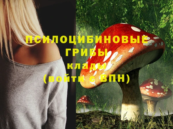 PSILOCYBIN Горно-Алтайск